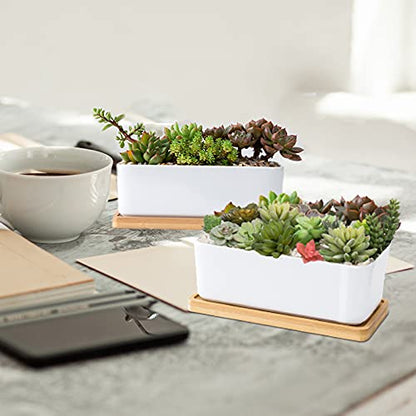 White Ceramic Succulent Planters, Indoor and Outdoor Succulent Planters, Set of 2 Small Cactus Containers, Bonsai Pots, Flower Pots with Drainage Hole and Bamboo Bowl (No Plant) - color: Rectangular