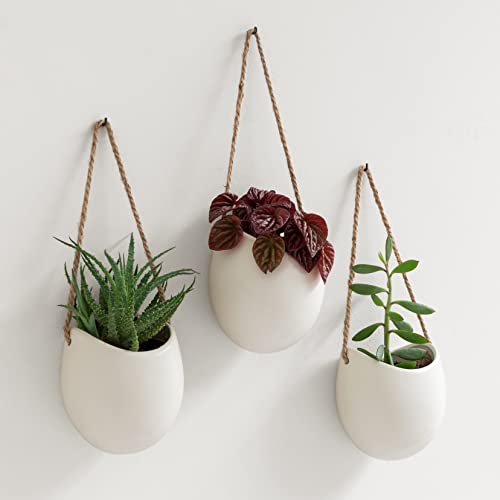 Kazai. Wall Planters -Ellie- | Hanging Ceramic Plant Pots 3 Pieces | Wall Decoration for Indoors, Balcony and Garden | Cream (Matte) - color: Cream (Matte), size: Set of 3 - Standard