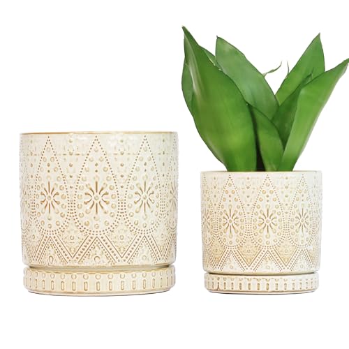8 Inch + 6 Inch Indoor Plant Pot with Drainage Holes and Saucers, Ceramic Planter for Plants, Succulent Orchid Flower Pots - color: Creamy White, size: 8Inch+6Inch