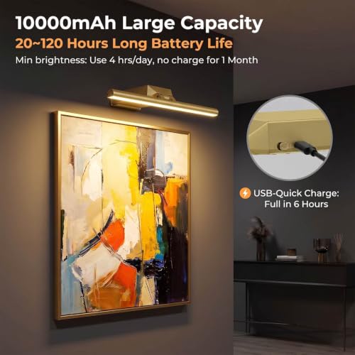 16" Picture Lights for Wall - 10000mAh Rechargeable Art Light - color: Gold, size: 16inch