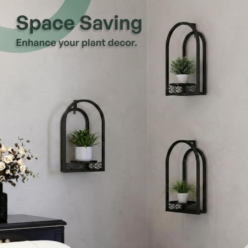 3 Pack Wall Plant Stands Indoor, wall Mounted Plant Holders, Black - color: 3 Pack Black