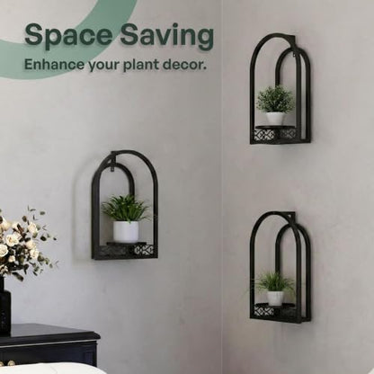 3 Pack Wall Plant Stands Indoor, wall Mounted Plant Holders, Black - color: 3 Pack Black
