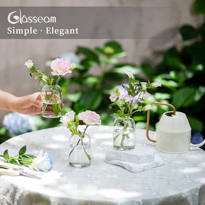 Glasseam Glass Bud Vases for Single Stem Flower, Small Clear Vase Set of 12 - size: S-12Pcs