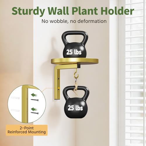 LASZOLA Plant Hanger Holder Window Shelf Wall Mounted Indoor, 2 Pcs Gold - color: Gold, size: 2