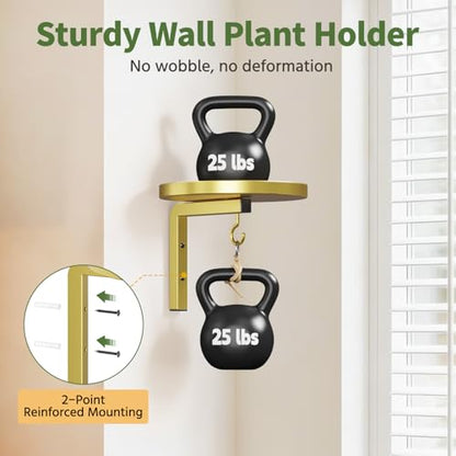 LASZOLA Plant Hanger Holder Window Shelf Wall Mounted Indoor, 2 Pcs Gold - color: Gold, size: 2