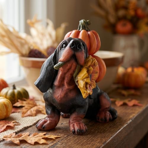 Fall Dachshund Pumpkin Dog Figurine Decor, Thanksgiving Dog Statue - color: Dachshund