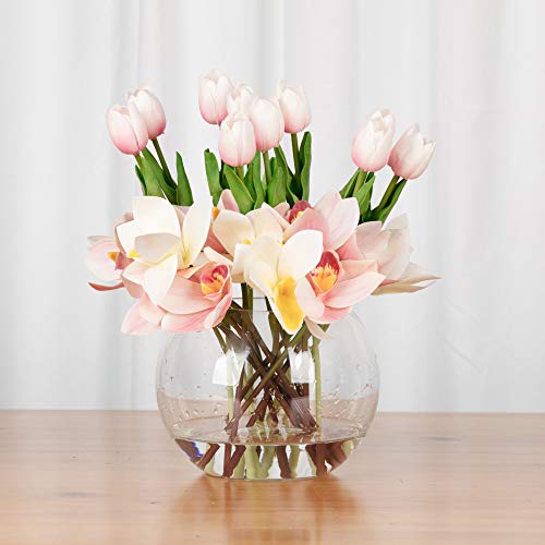 WGV Bowl Glass Vase, Diameter 6", Height 5", Open Width 4", (Multiple Sizes Choices) Clear Bubble Planter Terrarium Fish Bowl for Wedding Event Home Decor, 1 Piece (VBW0006) - size: 6"Dx5"H 1 Piece