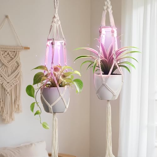 Macrame Plant Hangers - Beautiful Plants in Low Light - color: Plant Hanger Ivory(growpro)