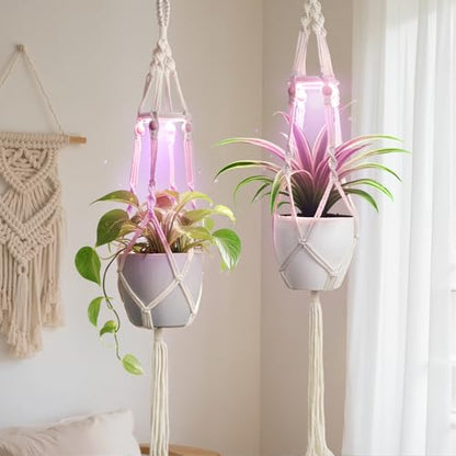 Macrame Plant Hangers - Beautiful Plants in Low Light - color: Plant Hanger Ivory(growpro)