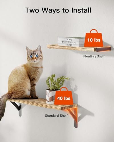 Amada Solid Paulownia Wood Wall Shelves, Medium Size, 6 Pcs, Natural Wood - color: Wooden, size: Medium