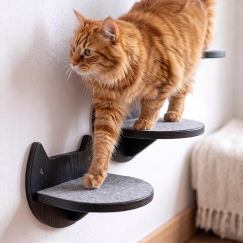 Cat Wall Shelves, Modern Cat Wall Furniture for Indoor Cats - Black - color: Black, 3 Steps + Perch