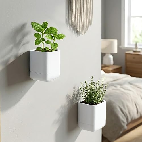 Phoenix Vine 3.5 Inch Wall Mounted Self-Watering Planter Pot for Indoor Houseplants and Herbs | Hanging Planter for Window Sills, Bathroom Walls, Home & Office Décor, White, Set of 2, 01-A-D-2 - color: White, size: 3.5" (2 Pack)
