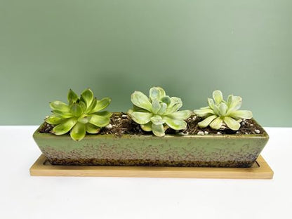 9.8inch Green Long Rectangle Ceramic Succulent Planter Pot,one Set of Mini Flower Plant Container with Bamboo Saucers. Product Size:9.8x2.35x1.77inch,not Include The Plant. - color: Green