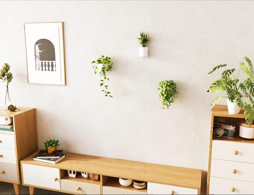 Small Wall Shelf, Acrylic Wall Shelves Display Ledges for Storage & Decoration, Small Floating Shelf for Wall (3)