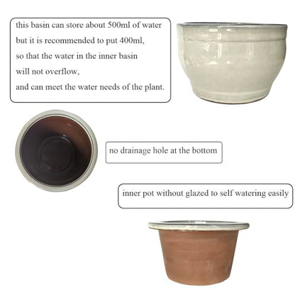 African Violet Pots Self Watering White 6 inch - color: White