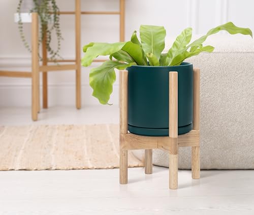 D'vine Dev Ceramic Pot with Natural Wood Stand, Teal, 8 in, 55-B-N-4 - color: Teal Pot + Natural Stand, size: 8 Inch