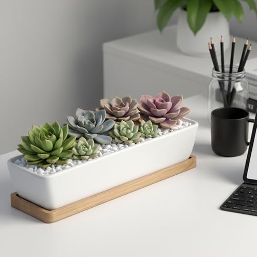 White Ceramic Succulent Planters, Indoor and Outdoor Succulent Planters, Set of 2 Cactus Containers, Bonsai Pots, Flower Pots with Drainage Hole and Bamboo Bowl (No Plant) - color: Thin Rectangle