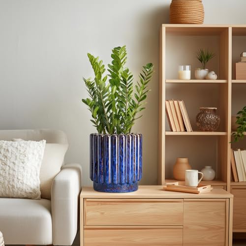 Ceramicfor Ceramic Plant Pots, 7.6 Inch, Blue - color: Blue, size: 7.6 Inch