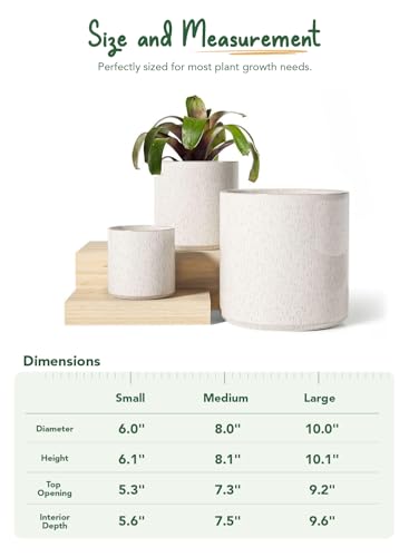 LE TAUCI 10+8+6 Inch Ceramic Pots for Plants, Indoor Planters with Drainage Hole and Plug, Modern Cylinder Flower Pots Set of 3 for Living Room and Bedroom, Glossy, Linen Birch - color: Linen Birch