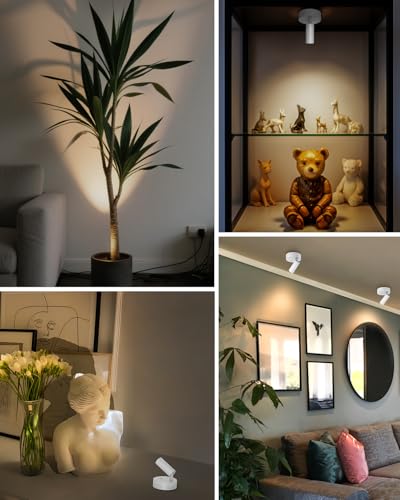 Spotlights Indoor with Remote, 3000Mah Rechargeable Wireless Plant Light - color: White-3000mAh