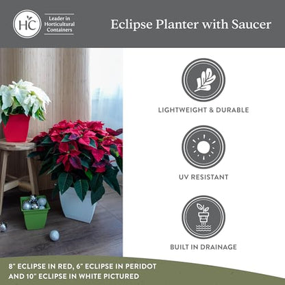 The HC Companies Eclipse Square Planter Pot, 6 Inch, Peridot Green, 4-Pack - color: Peridot Green, size: 6", style: Pack of 4