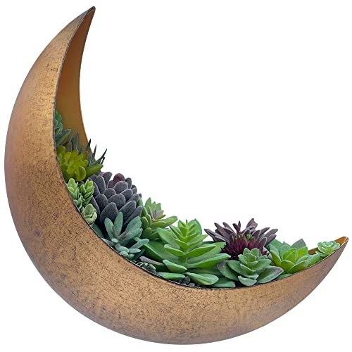 Moon Wall Planter - Hanging Moon Decor Perfect for Boho, Hippie, and Witchy Gifts for Women - Wall Planters for Indoor Plants and Outdoor Plants