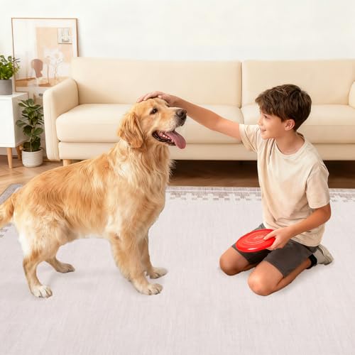 GarveeHome Living Room Rug 4x6 Washable Cross Bordered Soft Throw Carpet - color: Light Beige/Seashell, size: 4' x 6' (Rectangular)