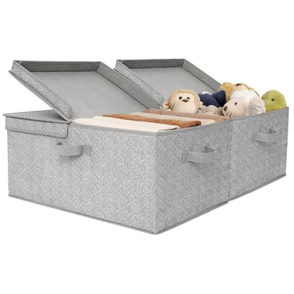 GRANNY SAYS Extra Large Storage Bins with Lids, Closet Bins, Gray - color: Gray, size: Extra Large - 2 Pack