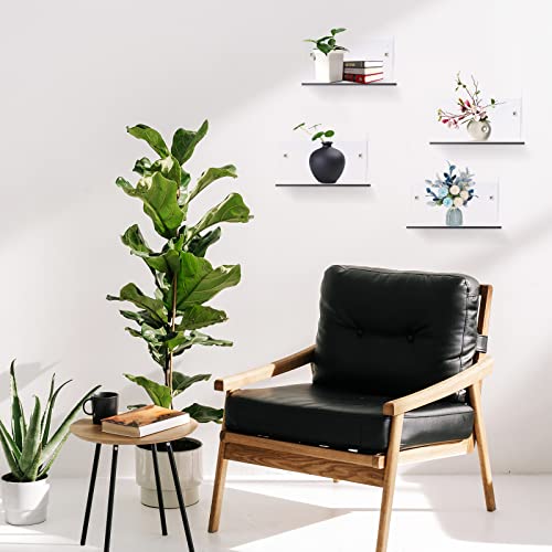 Yalikop 5 Pieces Acrylic Floating Shelves Small 4'' Wall Clear - color: Clear