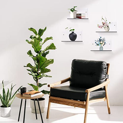 Yalikop 5 Pieces Acrylic Floating Shelves Small 4'' Wall Clear - color: Clear