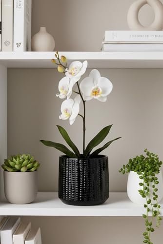 Ceramic Planter Pot with Drainage Hole, 5 Inch Dia, Indoor and Outdoor, Home Patio Garden, Plants&Flowers, Textured Round (Black) - style: Textured Round-Black