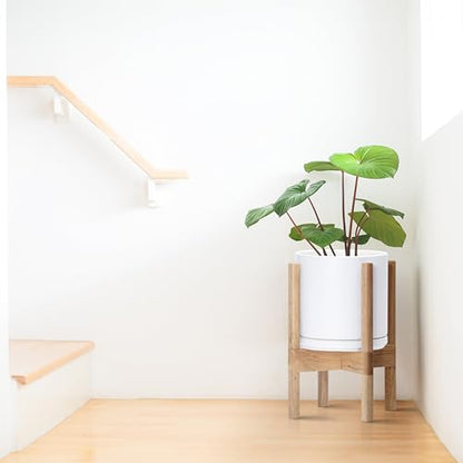 D'vine Dev Ceramic Pot with Natural Wood Stand, White, 8 in, 55-B-N-1 - color: White Pot + Natural Stand, size: 8 Inch