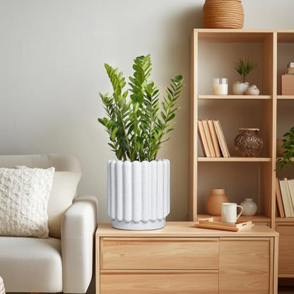 Ceramicfor Ceramic Planter, 7.6 Inch, White - color: Matte White, size: 7.6 Inch