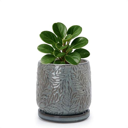 D'vine Dev Embossed Leaves Ceramic Planter, 4 in, Graphite Blue, 27-A-Z-9 - color: Graphite Blue, size: 4 Inch