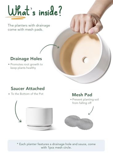 LE TAUCI Ceramic Pots for Plants, 4.3+5.3+6.8 Inch, Set of 3, White - color: White, size: 4.3"+5.3"+6.8"