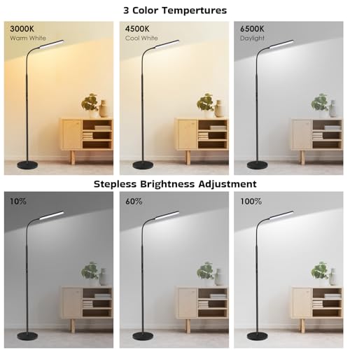 Dimunt LED Floor Lamp, Stepless Adjustable 3000K-6000K Colors, Black - color: Black