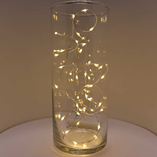 QBIS Warm White Christmas Lights Battery Operated, 40 Micro LEDs 6.5ft - size: 1PK-40 Warm White