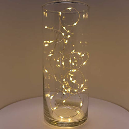QBIS Warm White Christmas Lights Battery Operated, 40 Micro LEDs 6.5ft - size: 1PK-40 Warm White