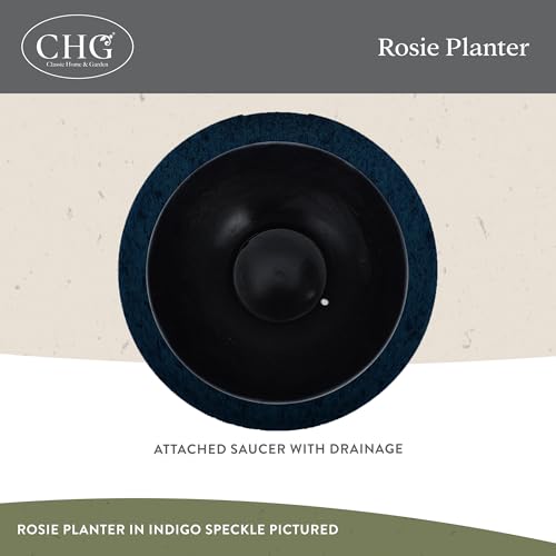 GROWSCAPE Rosie Planter Bowl, with Drainage and Saucer, 10” Northern Lights - color: Northern Lights