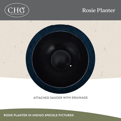 GROWSCAPE Rosie Planter Bowl, with Drainage and Saucer, 10” Northern Lights - color: Northern Lights