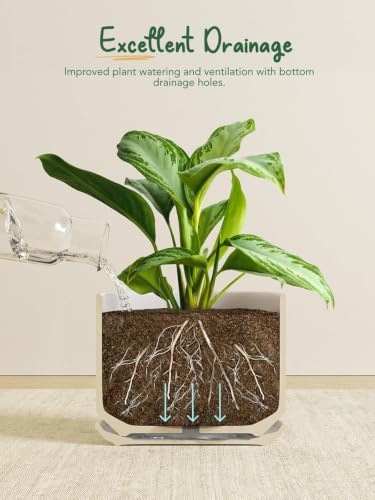 LE TAUCI Ceramic Pots for Plants, 4.3+5.3+6.8 Inch, Set of 3, White - color: White, size: 4.3"+5.3"+6.8"