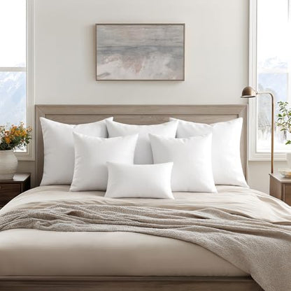 MIULEE 14x20 Throw Pillows Inserts 2 Pack, Decorative Pillows for Couch Bed - size: 14x20 Inch