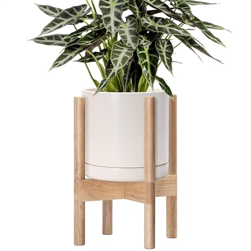 D'vine Dev Ceramic Pot with Natural Wood Stand, Oatmeal, 8 in, 55-B-N-8 - color: Oatmeal Pot + Natural Stand, size: 8 Inch