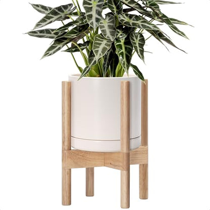 D'vine Dev Ceramic Pot with Natural Wood Stand, Oatmeal, 8 in, 55-B-N-8 - color: Oatmeal Pot + Natural Stand, size: 8 Inch