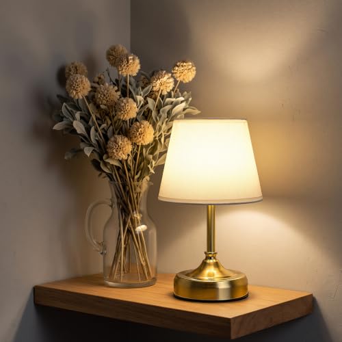 Small Cordless Table Lamp Rechargeable Gold - color: Gold-S