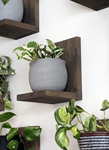 Daniel's Plants 3-Pack Mid-Century Modern L-Shaped Floating Shelves | Solid Wood Plant Wall Shelf Kit | Dusk Grey - color: Dusk Grey