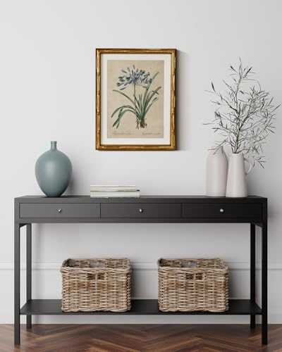 InSimSea Gold Bamboo Framed Wall Art, Retro Lily Botanical Prints, 11x14In - color: African Lily