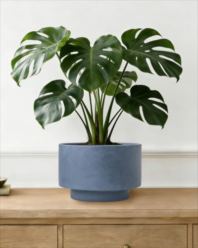 Succulent Pots, 8"+6" Plant Pots, Ceramic Planters for Indoor Plants - color: Blue