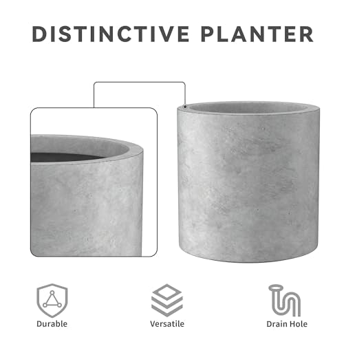 Kante Set of 3 Pale Gray Concrete Cylinder Planters 15.8" 12.9" 9.8" Dia - color: Natural Concrete, size: 9.8",12.6",15.7" Dia