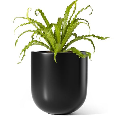 LE TAUCI 6 Inch Ceramic Plant Pot, Small Indoor Planter, Black - color: Black, size: 6”